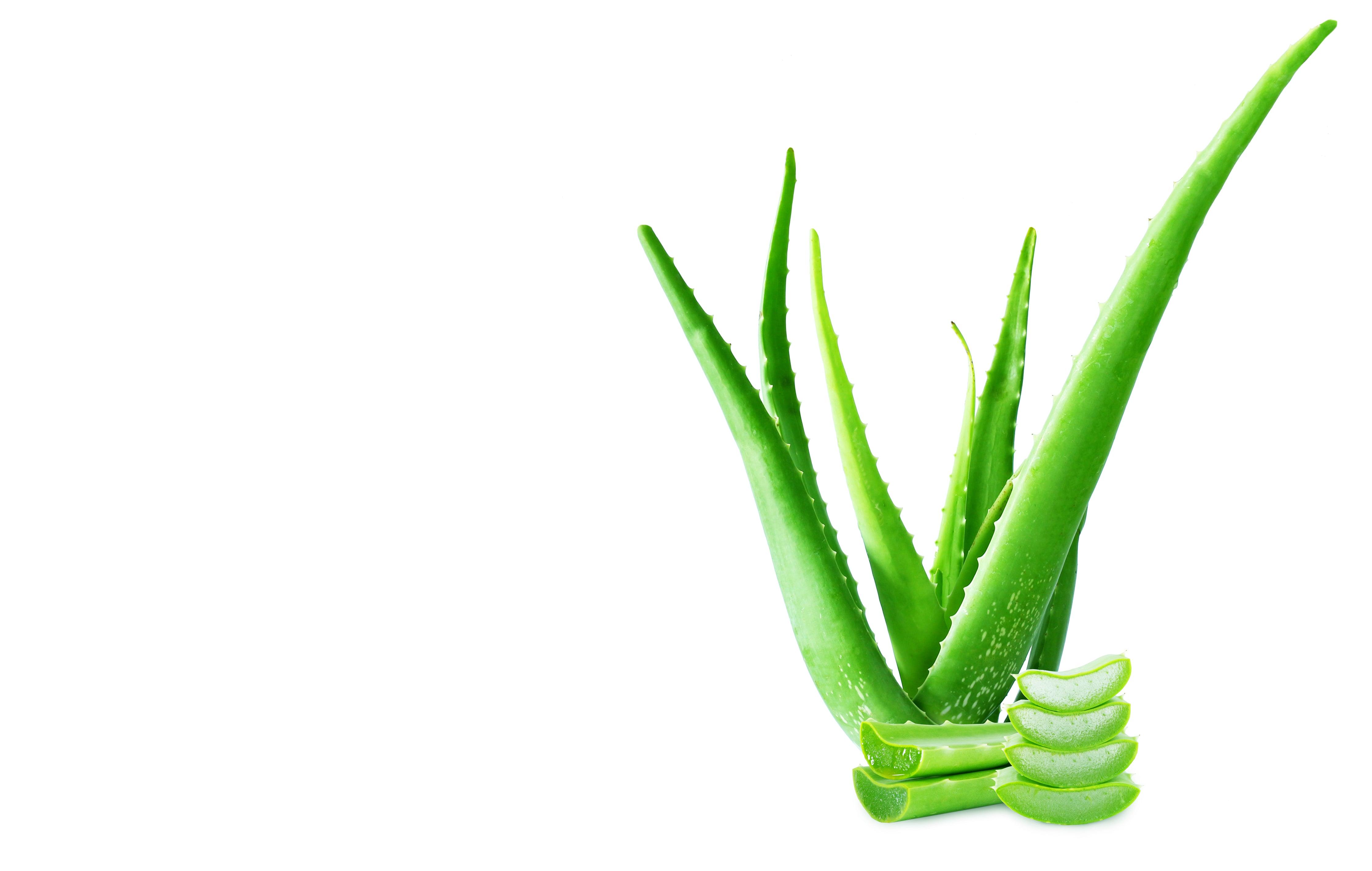 Experience the magic of Koso Med's moisturizers, unlocking radiant and ageless beauty. Embrace glowing skin today!