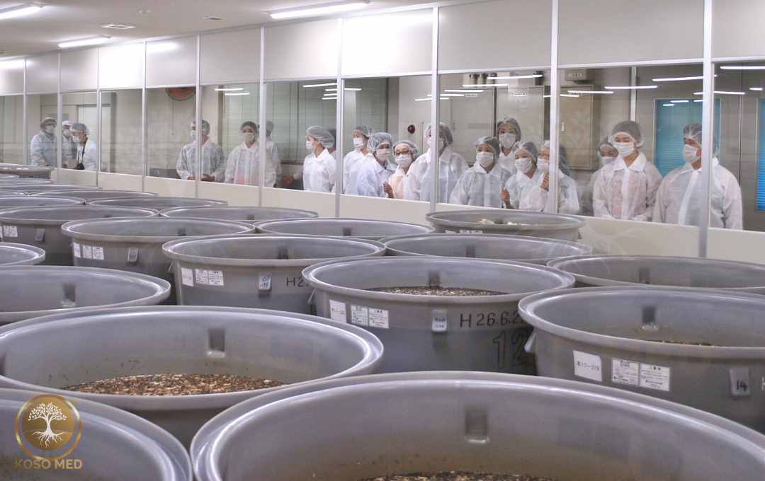 Our Japan Factory