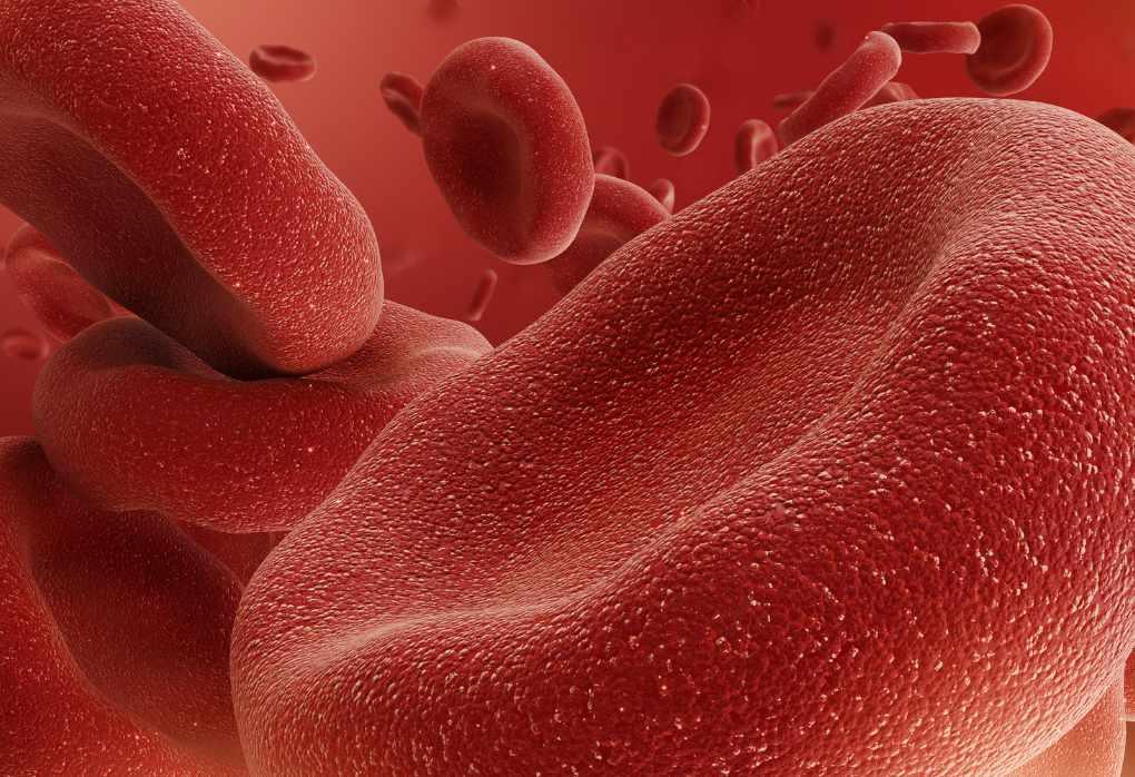 Aid Your Cardiovascular with Tri Power and Beta Glucans