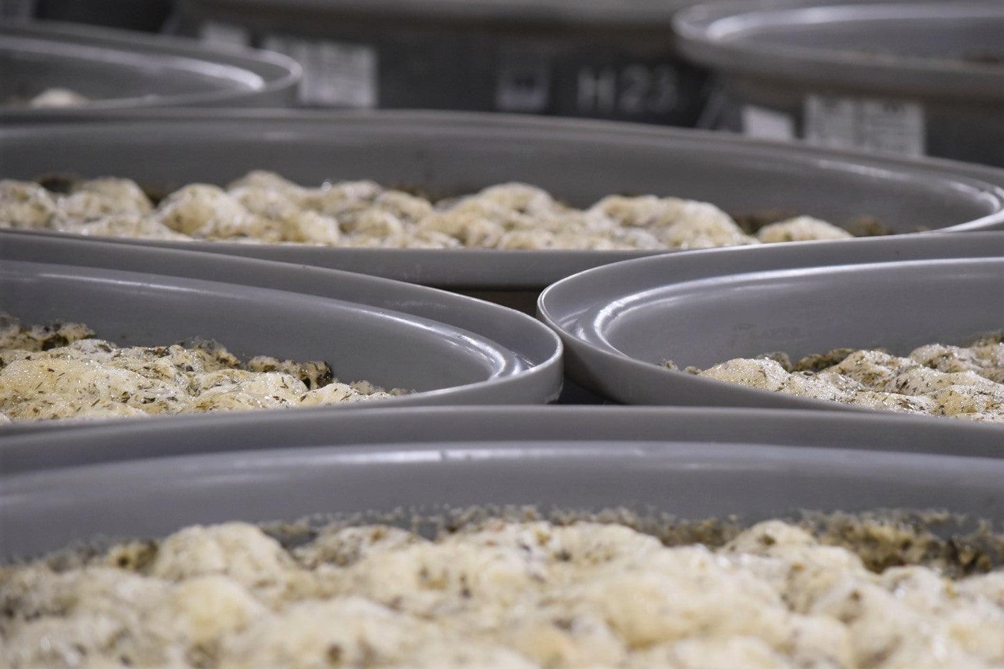 Unraveling the World of Enzymes: Understanding their Vital Role in Biochemical Reactions - Koso Med