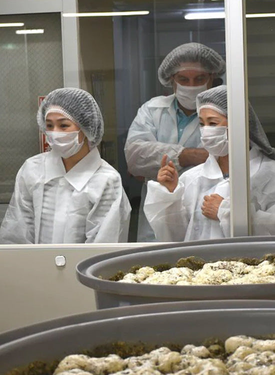 Patented 1-Year Plus Fermentation Process