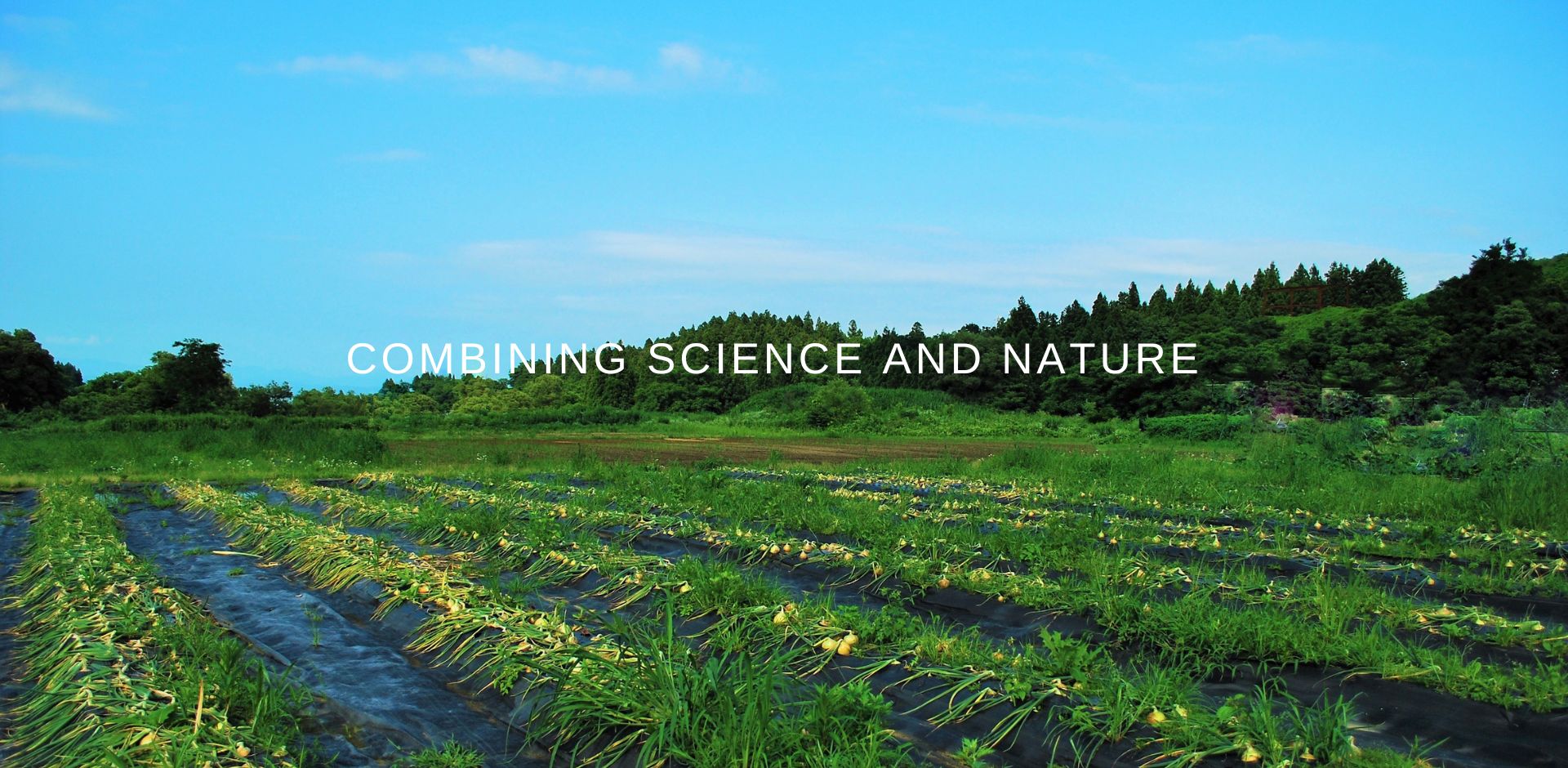 Koso Med Combining science and nature