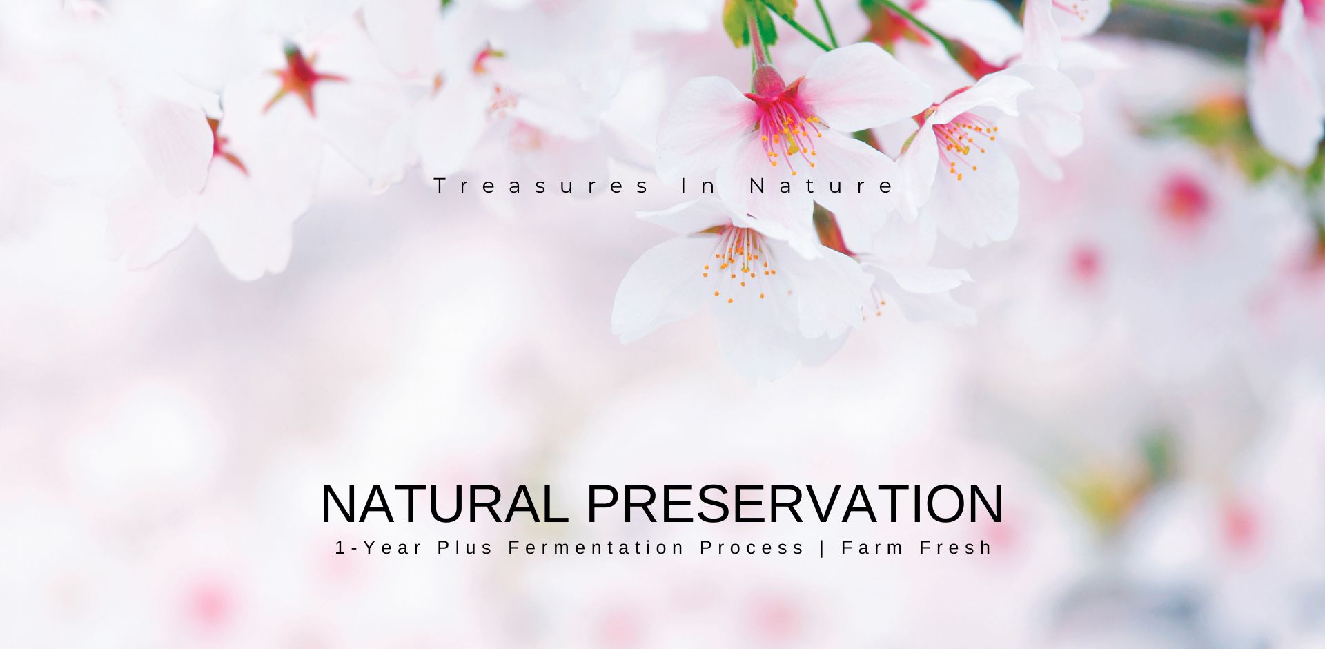 Koso Med treasures in nature