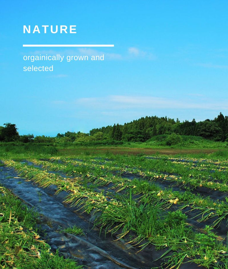 Koso Med Combining science and nature