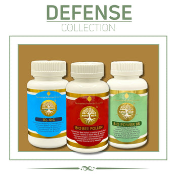 WhatsApp Image 2025-09-09 at 9.56.35 AM.jpeg__PID:9768ed2f-92d1-448c-92f5-604801ef9c12