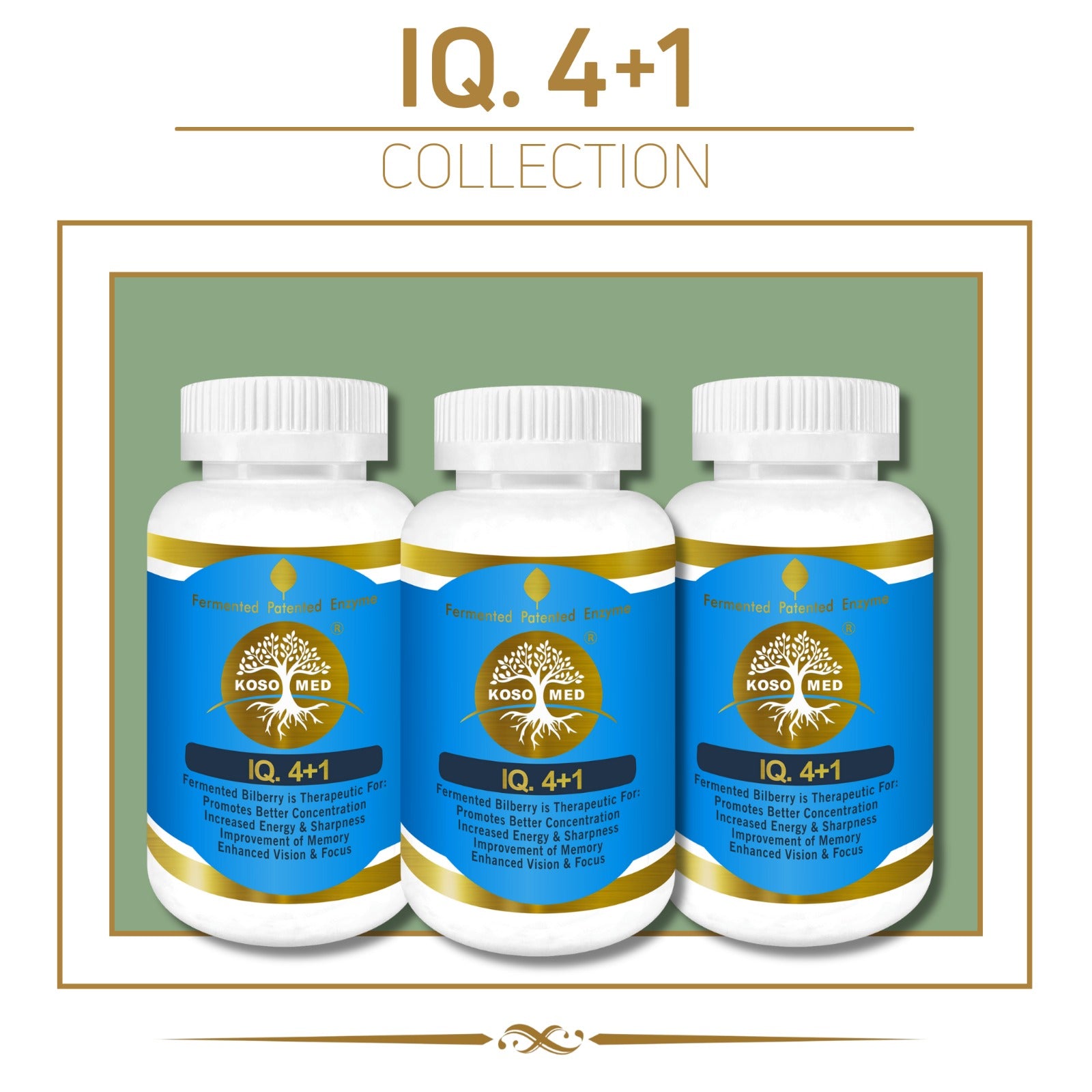 Bilberry Collection (Pack of 3)(Food) Bilberry, Acai Berry, Vegetable Powder