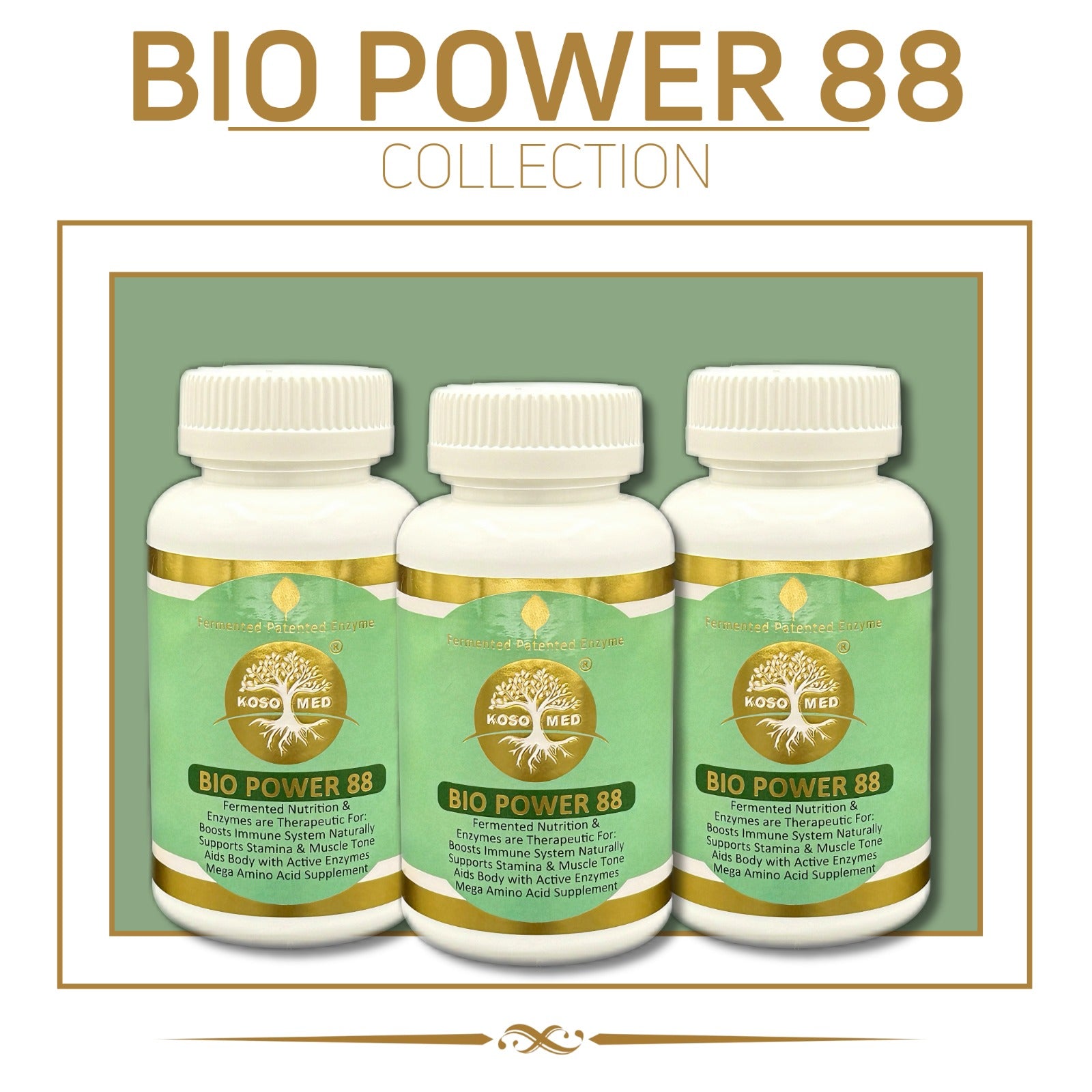 Power 88 Collection (Pack of 3)(Food)Parsley,Ginko,Vegetable Powder