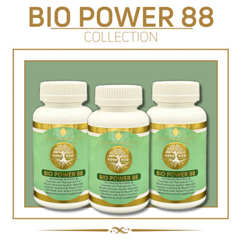 Power 88 Collection (Pack of 3)(Food)Parsley,Ginko,Vegetable Powder