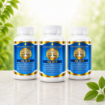 Bilberry Collection (Pack of 3)(Food) Bilberry, Acai Berry, Vegetable Powder - Koso Med LLC