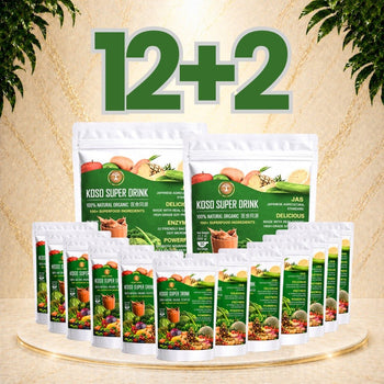 Vegetable and Soy FOOD Powder - Koso Super DRINK (Pack of 14) - Koso Med LLC